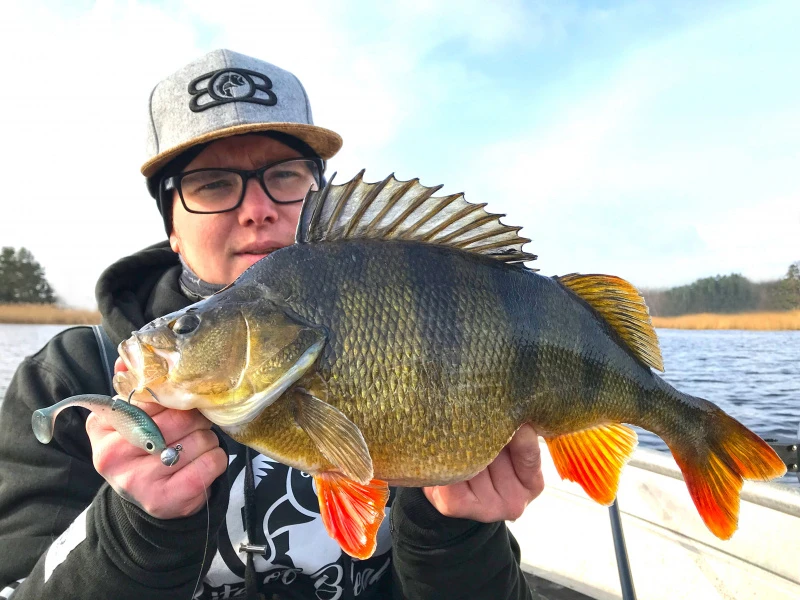 Bite Of Bleak Sarven 8cm (5-pack) – Bild 2