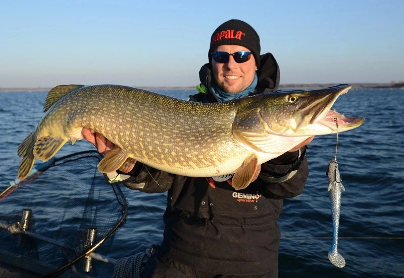 Eastfield Wingman (Made In Sweden) – Bild 3