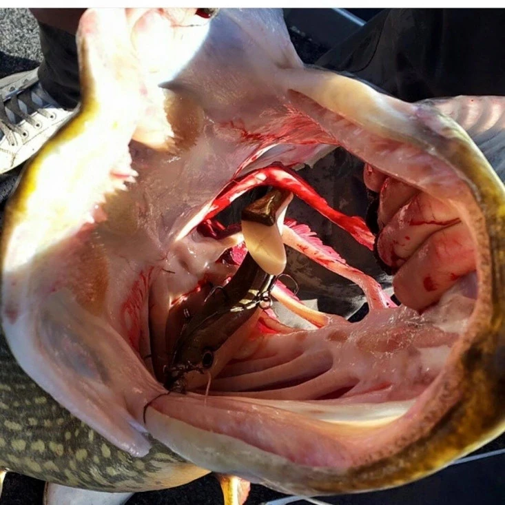 Eastfield Wingman (Made In Sweden) – Bild 4