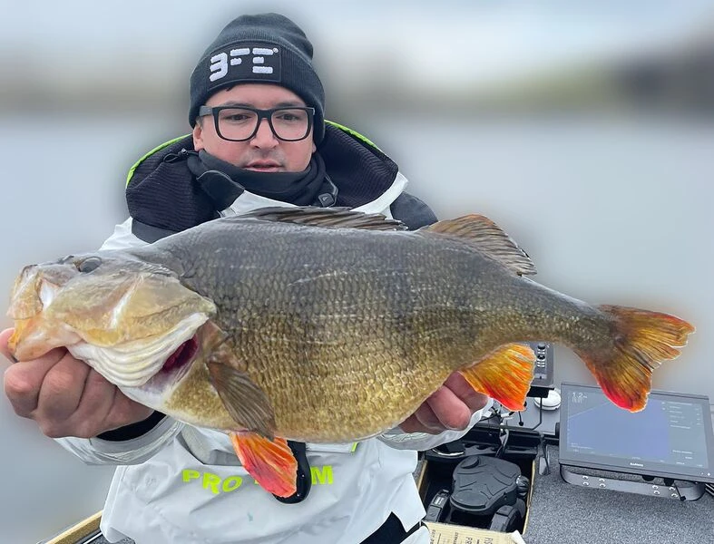 Keitech FAT Swing Impact 9,6cm – Bild 4