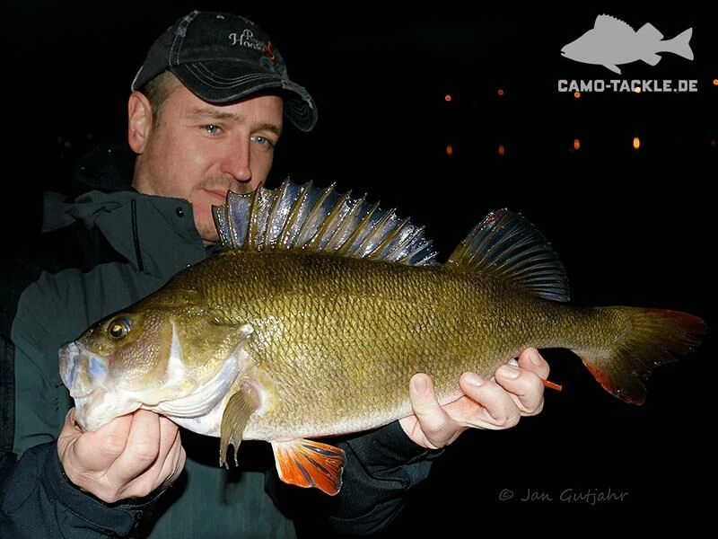 Keitech FAT Swing Impact 9,6cm – Bild 5