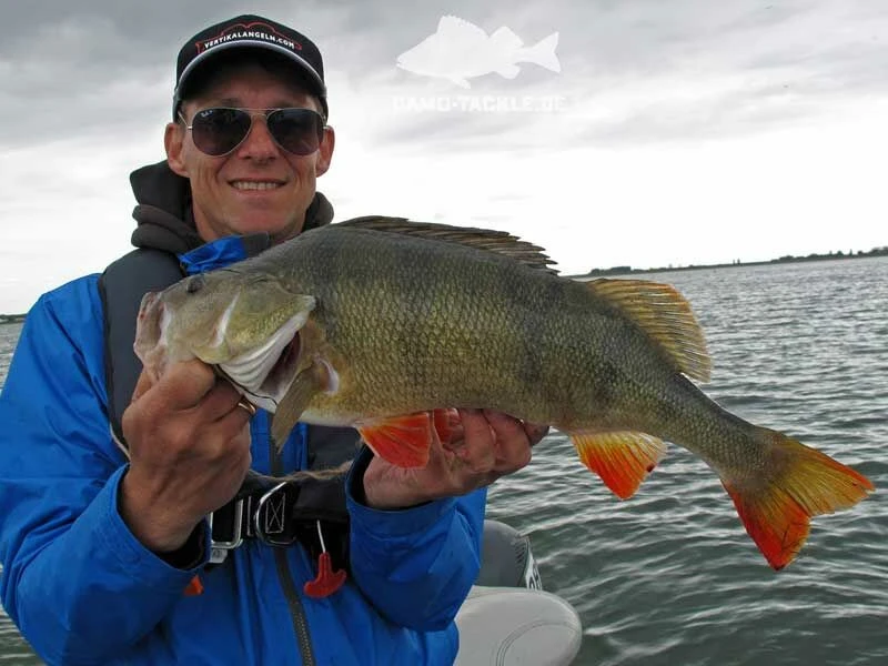 Keitech FAT Swing Impact 9,6cm – Bild 6